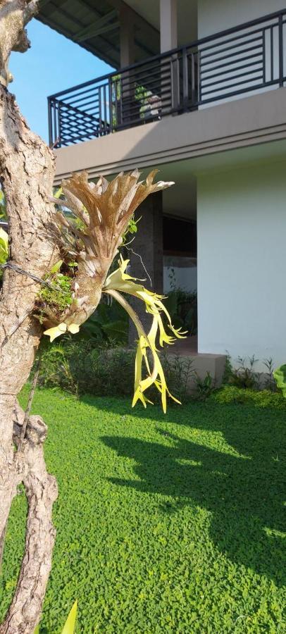 Indraprastha Cottage Ubud Exterior photo